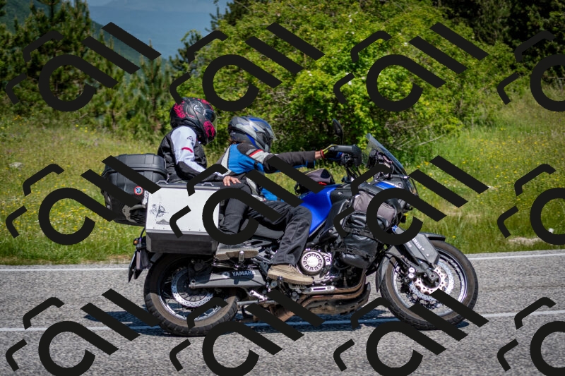 202506081126-DSC_6298_c2