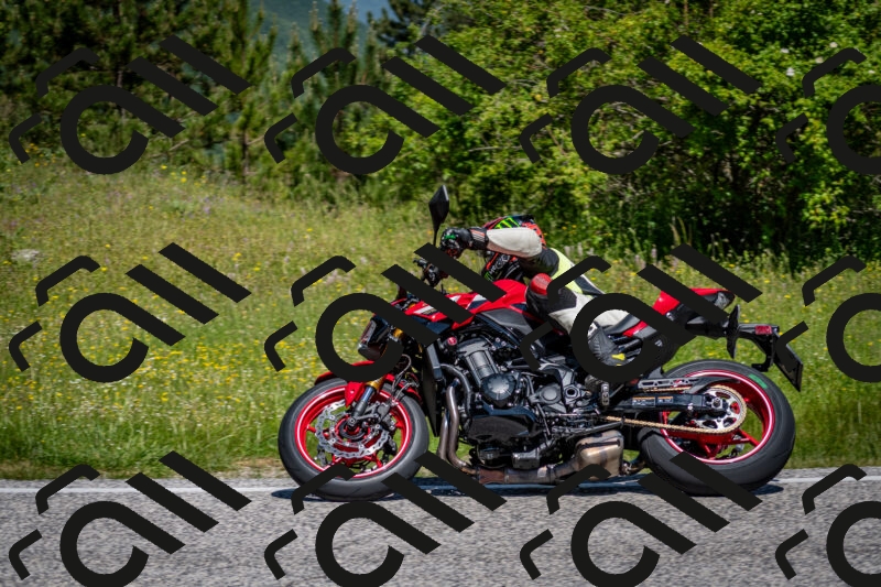 202506081130-DSC_6328_c2