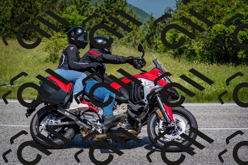 202506081131-DSC_6332_c2