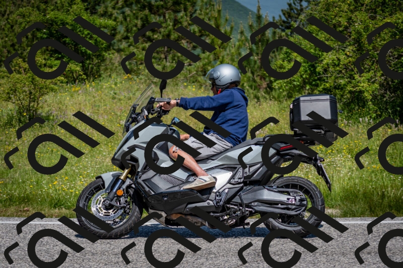 202506081131-DSC_6335_c2