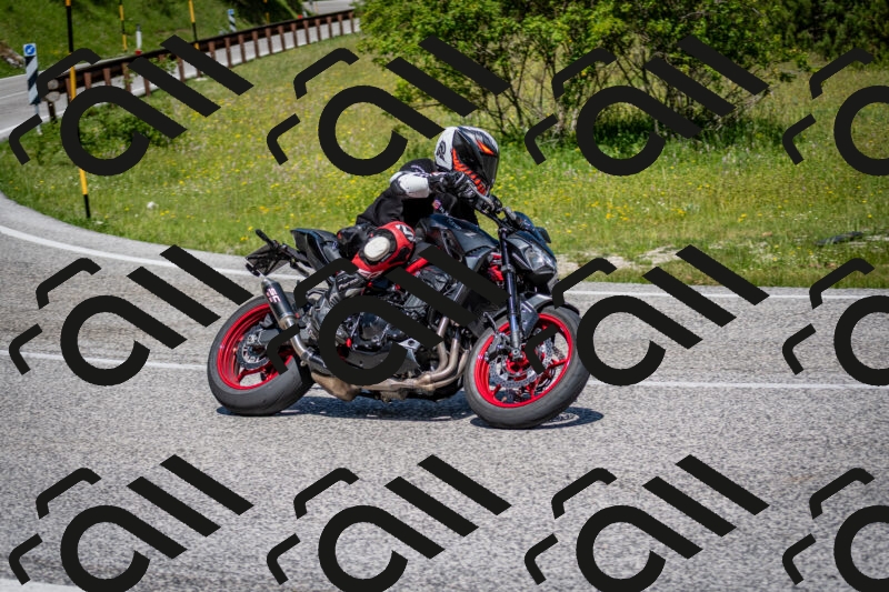 202506081131-DSC_6341_c2