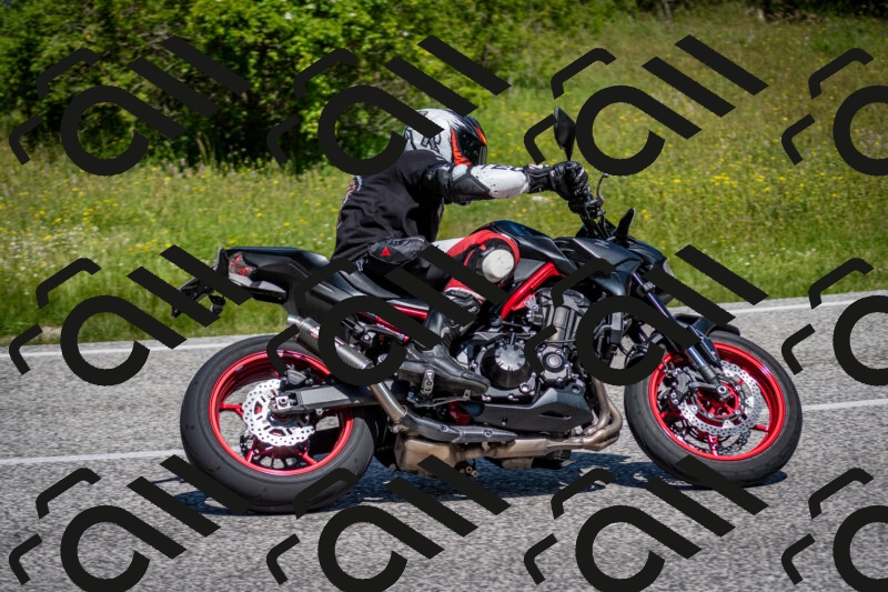 202506081131-DSC_6342_c2