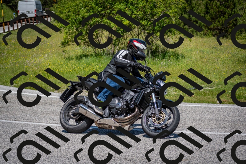 202506081132-DSC_6345_c2