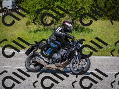 202506081132-DSC_6345_c2