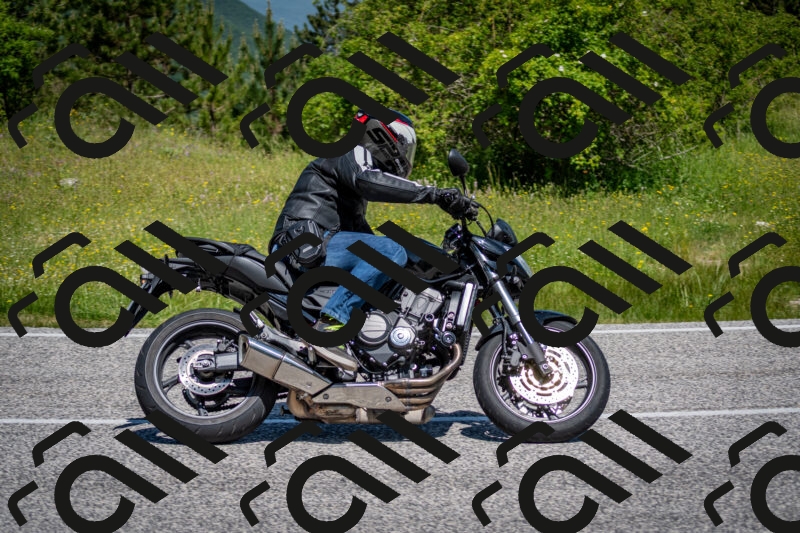 202506081132-DSC_6346_c2