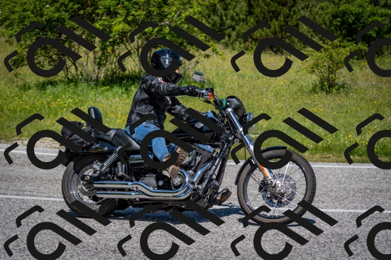 202506081132-DSC_6350_c2