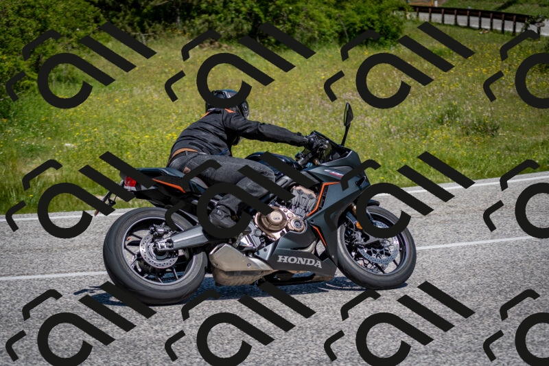 202506081134-DSC_6364_c2