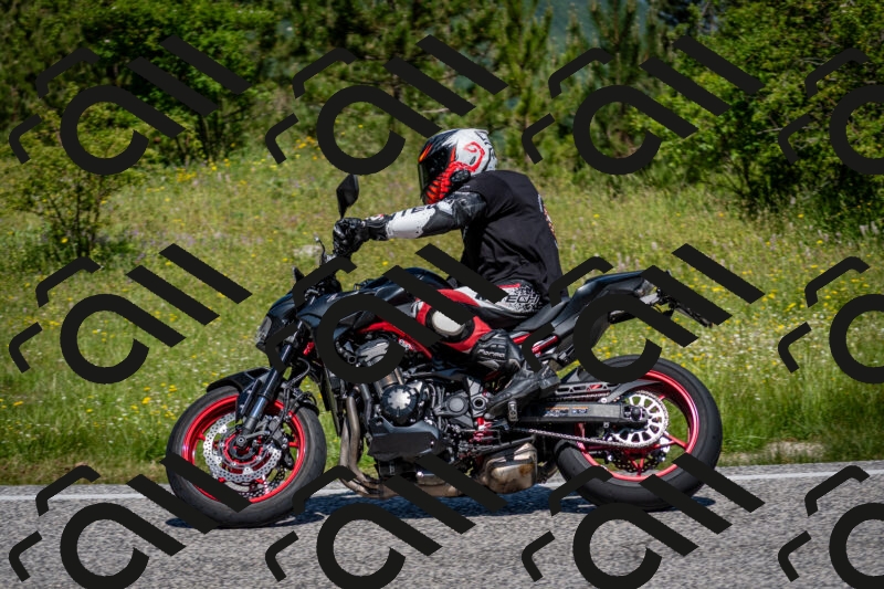 202506081134-DSC_6372_c2