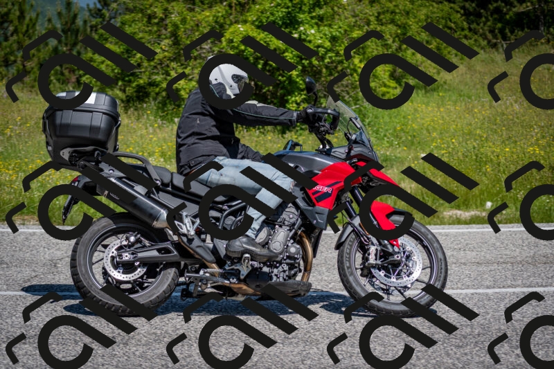 202506081135-DSC_6377_c2