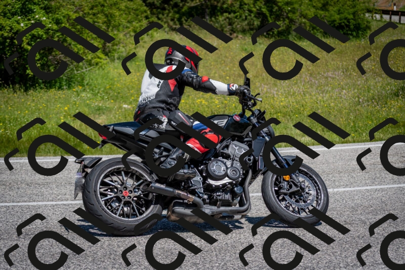 202506081136-DSC_6388_c2