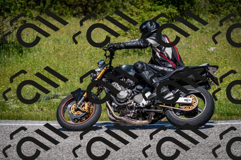 202506081137-DSC_6400_c2