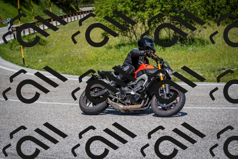 202506081138-DSC_6403_c2