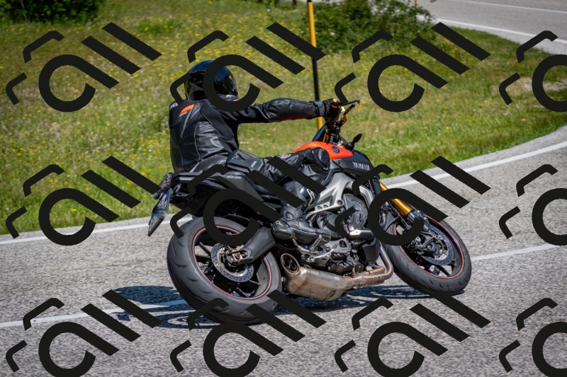 202506081138-DSC_6404_c2