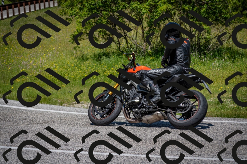 202506081139-DSC_6413_c2