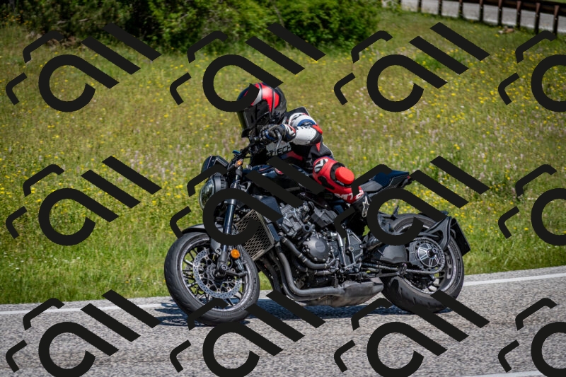 202506081139-DSC_6415_c2