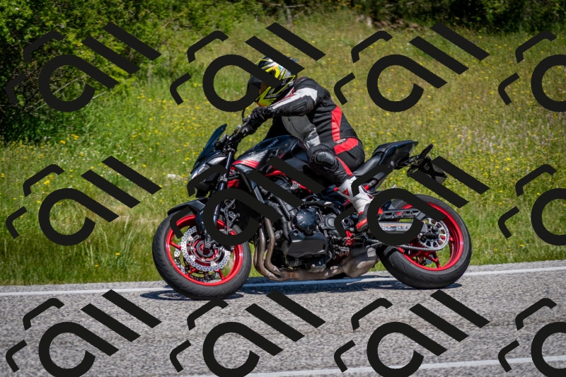 202506081139-DSC_6423_c2