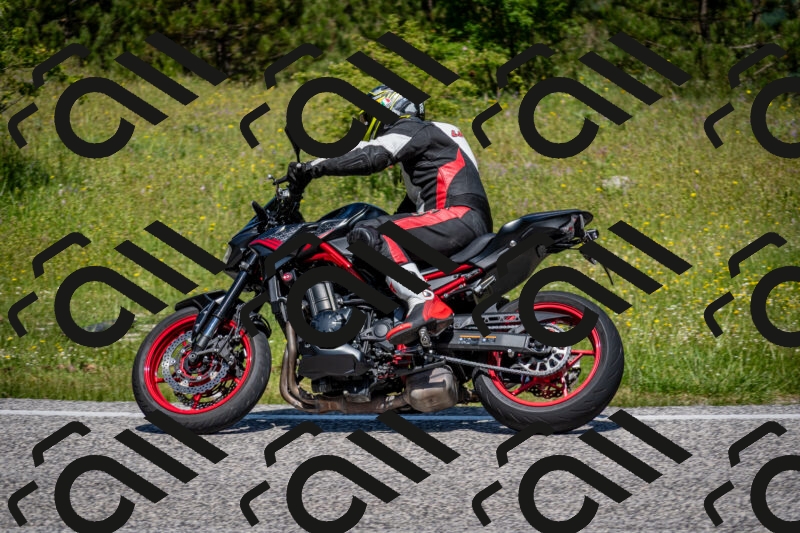 202506081139-DSC_6424_c2