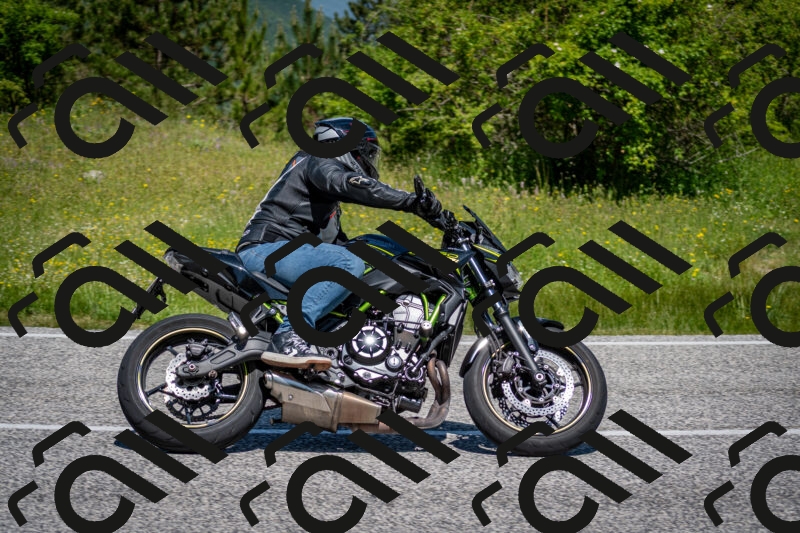 202506081141-DSC_6439_c2