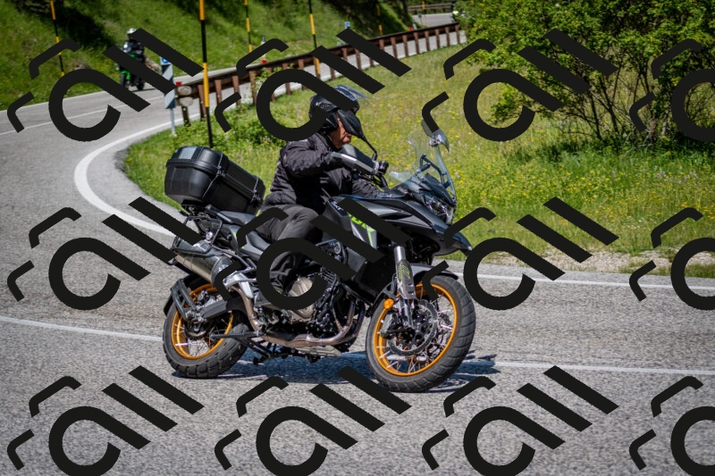 202506081141-DSC_6444_c2