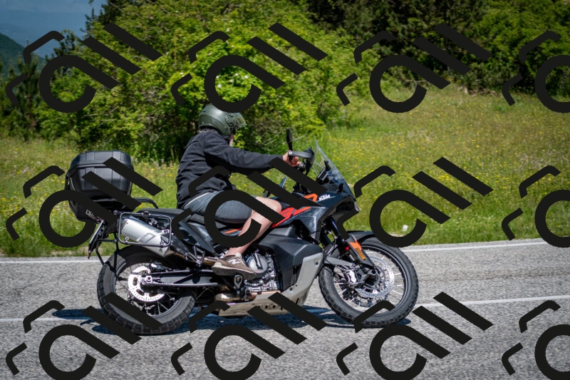 202506081141-DSC_6449_c2