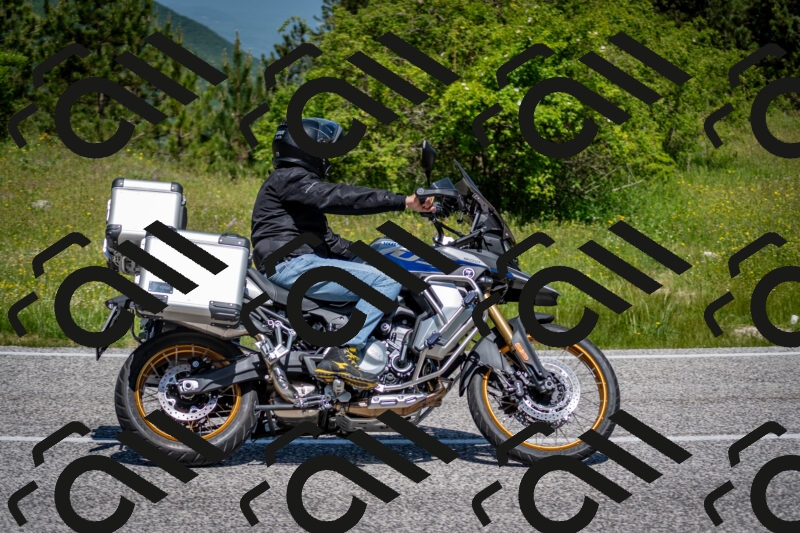 202506081141-DSC_6455_c2