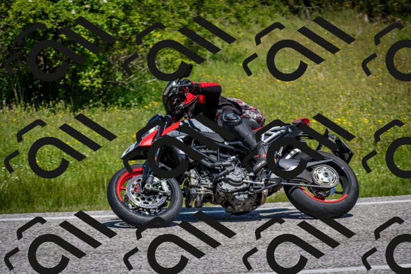 202506081142-DSC_6458_c2