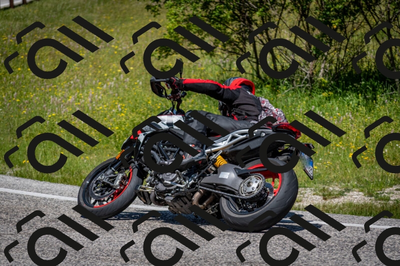 202506081142-DSC_6459_c2