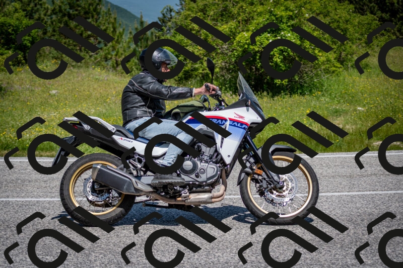 202506081144-DSC_6462_c2