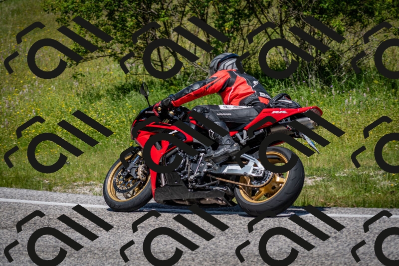 202506081144-DSC_6468_c2