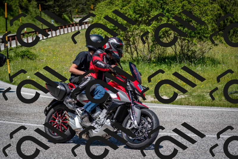 202506081145-DSC_6476_c2