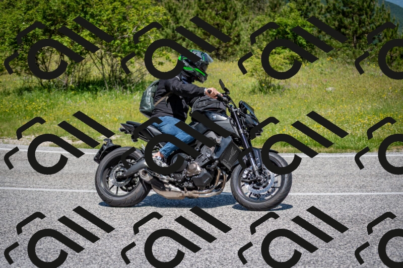 202506081145-DSC_6480_c2