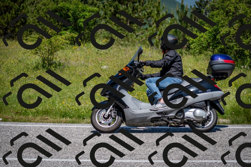 202506081145-DSC_6484_c2