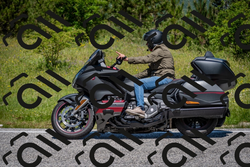 202506081145-DSC_6491_c2