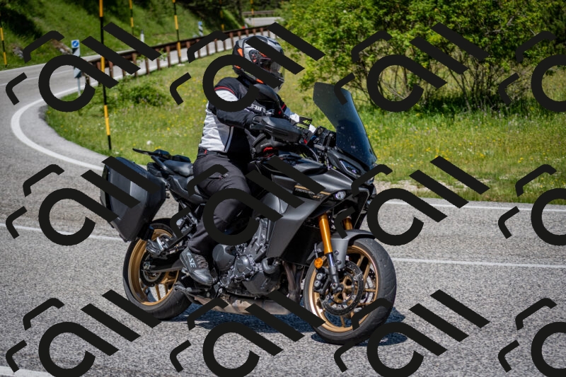 202506081146-DSC_6506_c2