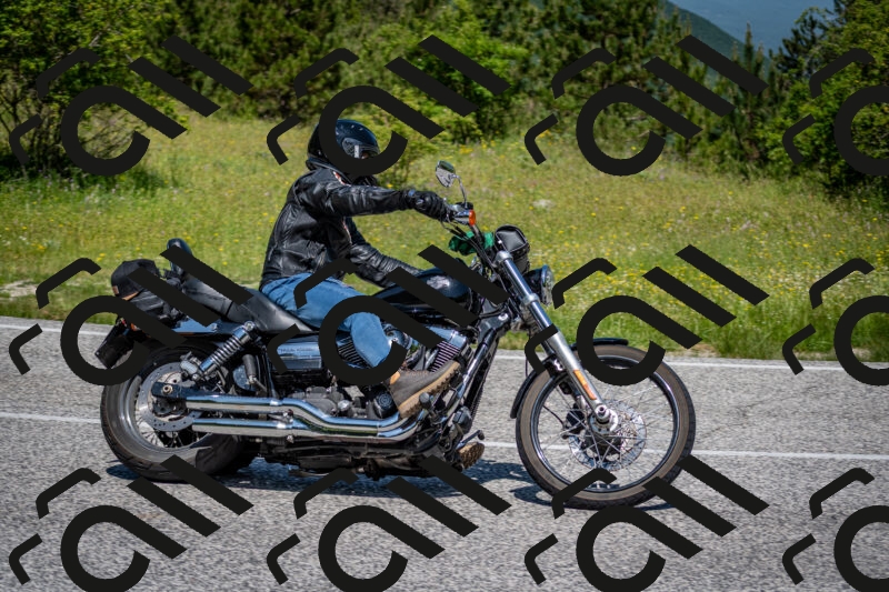 202506081149-DSC_6523_c2