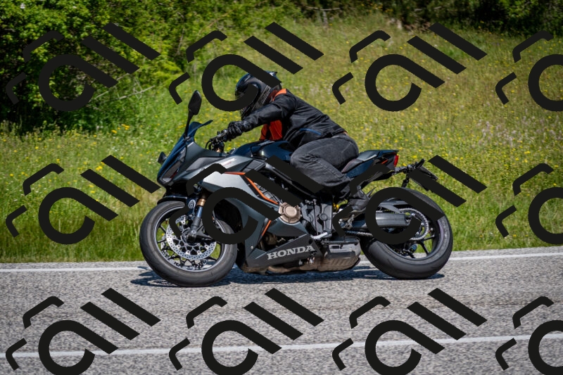 202506081149-DSC_6525_c2