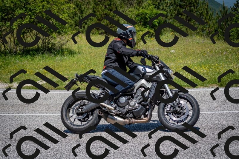 202506081150-DSC_6532_c2