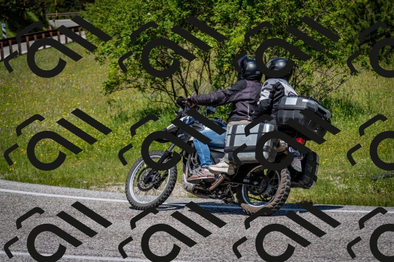 202506081150-DSC_6538_c2