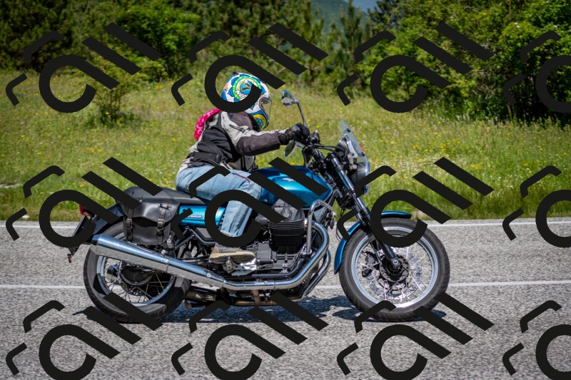 202506081150-DSC_6543_c2