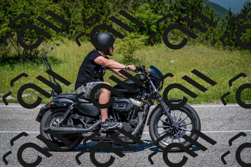 202506081151-DSC_6552_c2