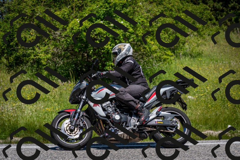 202506081153-DSC_6563_c2