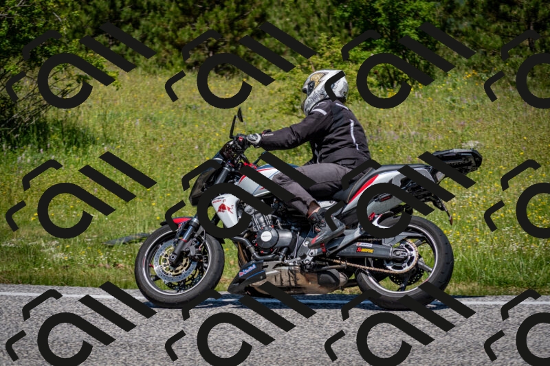 202506081153-DSC_6564_c2