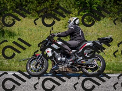 202506081153-DSC_6564_c2