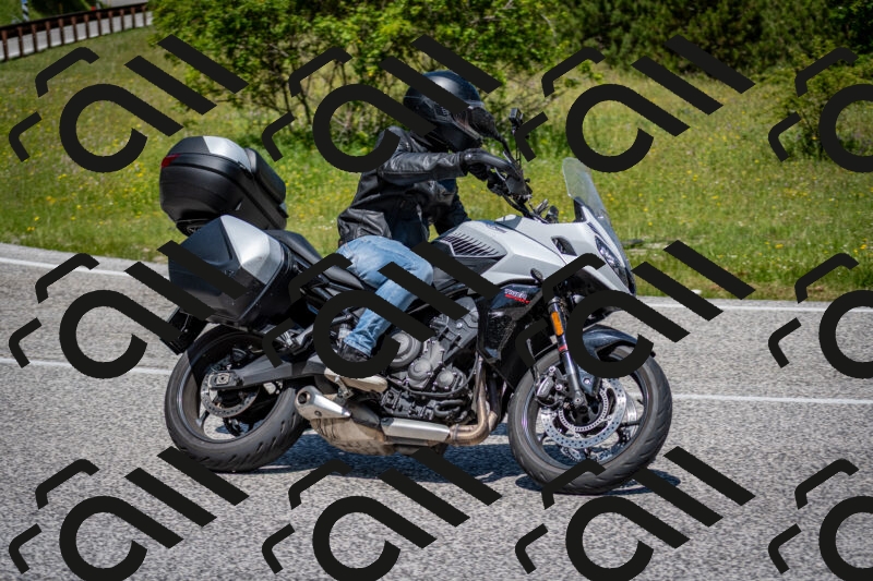 202506081153-DSC_6572_c2