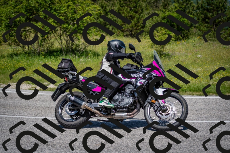 202506081154-DSC_6584_c2