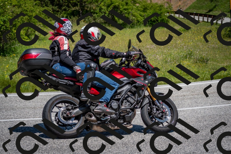 202506081155-DSC_6591_c2