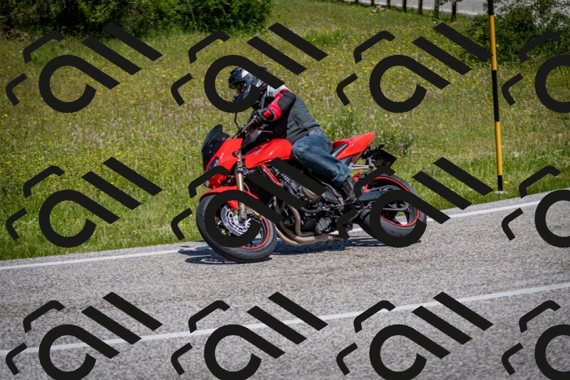 202506081155-DSC_6595_c2