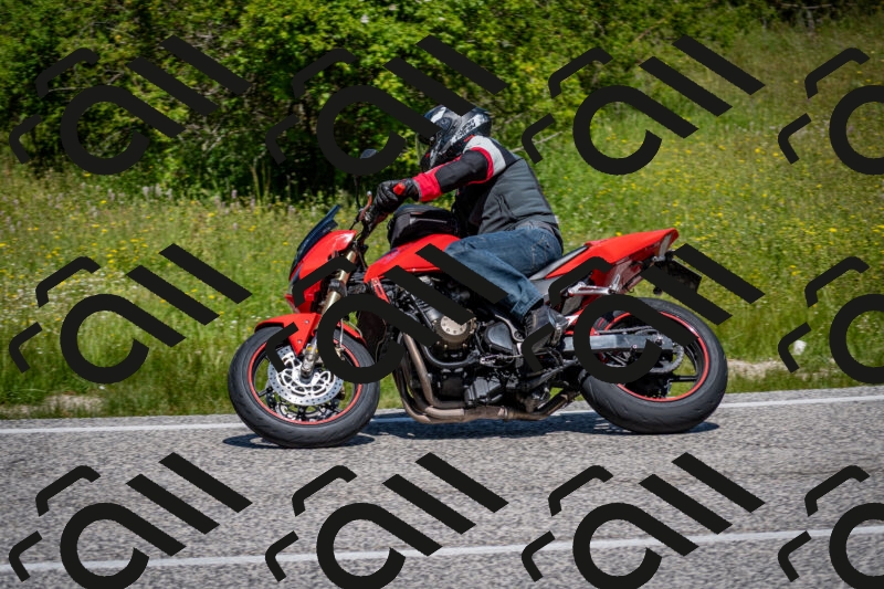 202506081155-DSC_6596_c2