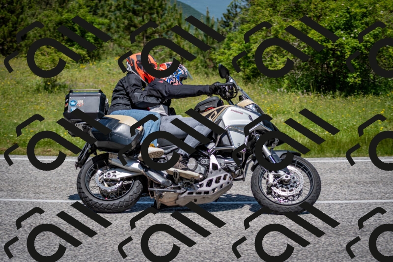 202506081155-DSC_6605_c2