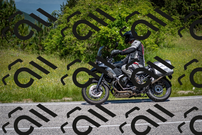 202506081157-DSC_6641_c2